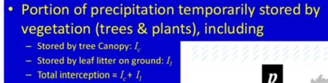 Hydrogeology Lecture 3 Flashcards Quizlet