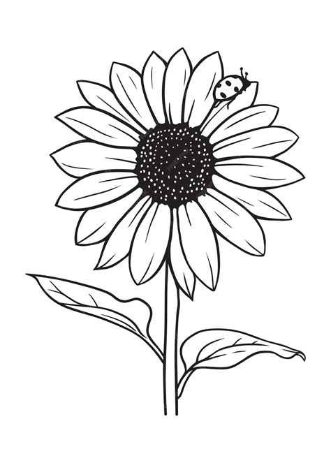 Premium Vector Sunflower With A Ladybug Hand Drawn Vector Line Art