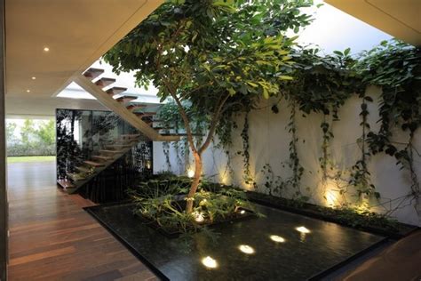 Indoor garden design ideas – types of indoor gardens and plant tips