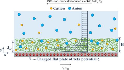 Schematic Describing The Ionic Dos Flow Over A Charged Flat Plate Of Download Scientific