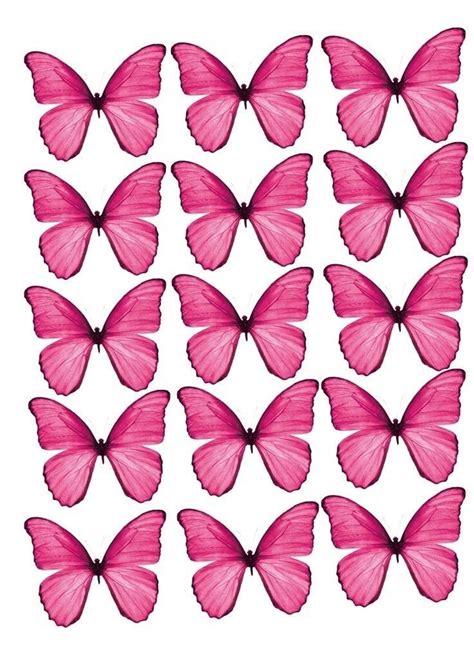 Pin By Wind Y On Butterfly Printable Template