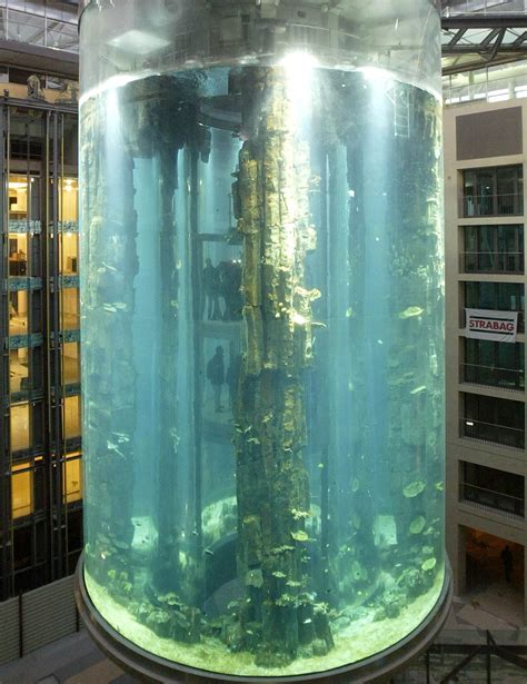 Huge Berlin Aquarium That Housed 1500 Tropical Fish Bursts Photos