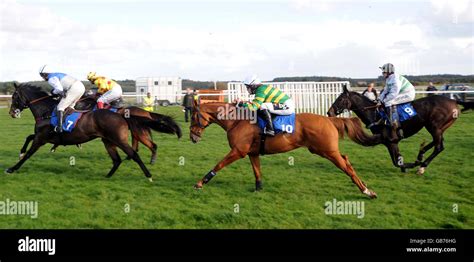 Horse Racing Exeter Racecourse Stock Photo Alamy