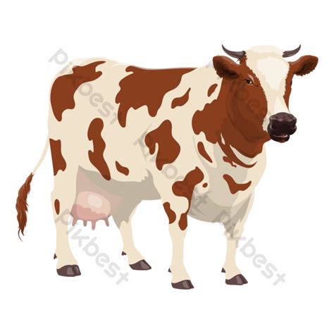 Vector Ayrshire Cattle Illustration Livestock Artwork Png Images Psd