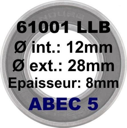 61001 LLU LLB 12x28x8 ABEC5 Bearing