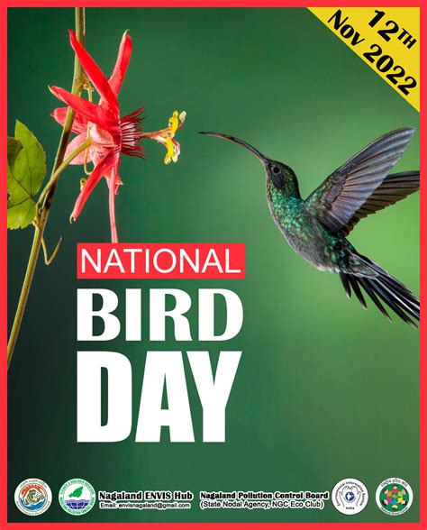 National Bird Day 12 Nov 2022 Poster Nagaland Pollution Control Board