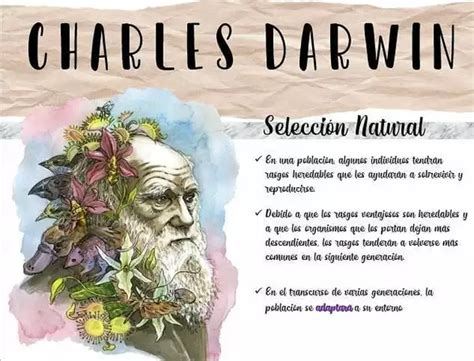 CHARLES DARWIN Y LA SELECCION NATURAL Profe Social