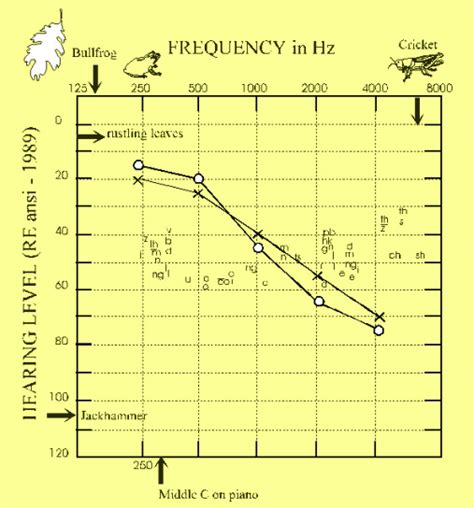 What does my audiogram mean?