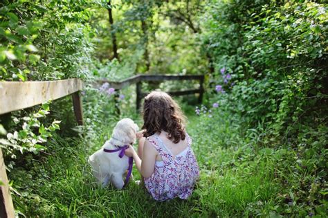 Razas de Perros para Familias con Niños Razas de Perros para niños