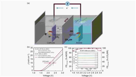 Recent Advances In The Electroreduction Of Carbon Dioxide To Formic