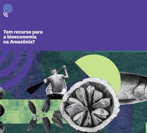 Tem Recurso Para A Bioeconomia Na Amaz Nia Uma Concerta O Pela Amazonia