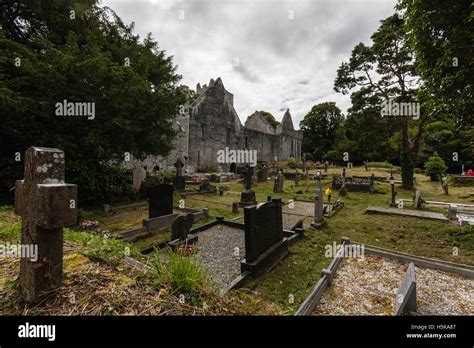 Muckross Abbey Killarney Stock Photo - Alamy