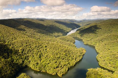 O que é uma Área de Preservação Permanente GlobalTree