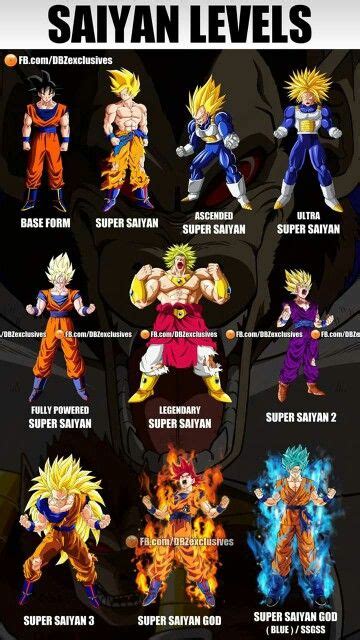 Saiyan Levels Son Dragon Ball Z Dragon Ball Super Goku Dragon