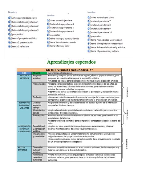 Planeación ANUAL Artes Visuales 1 de Secundaria