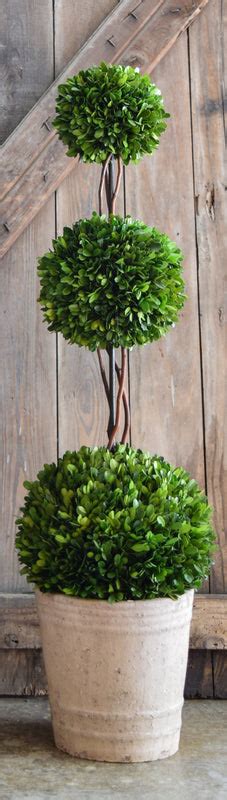 Preserved Boxwood Triple Ball Topiary 40 Home Decorative Accents