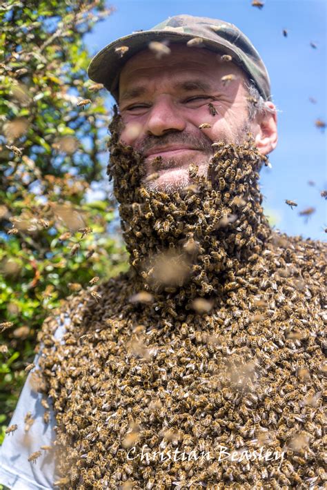 Bee Beard | When one of his Bee hives started swarming, my B… | Flickr