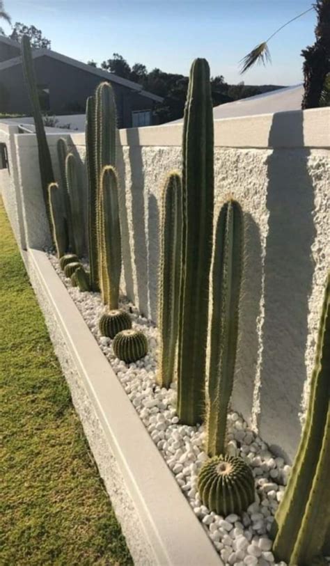 Ideas Para Decorar Con Cactus Y Suculentas Porqu Usar Cactus Arkihome