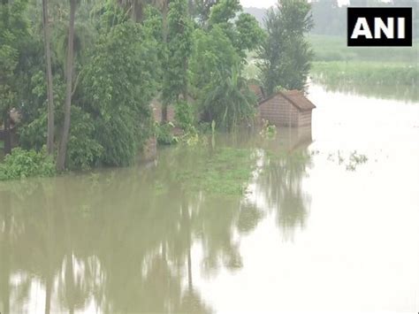 Bihar floods | Bihar floods: Death toll rises to 24, over 75 lakh ...