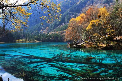 Five Flower Lake – Jiuzhaigou