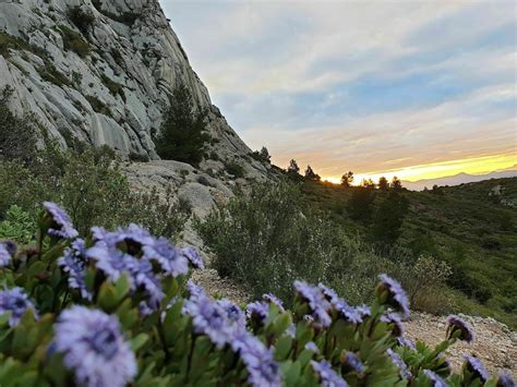 Les Plus Belles Randonn Es Faire Dans La Montagne Sainte Victoire