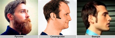 Виды бакенбардов и особенности ухода: как отрастить и ухаживать за ...