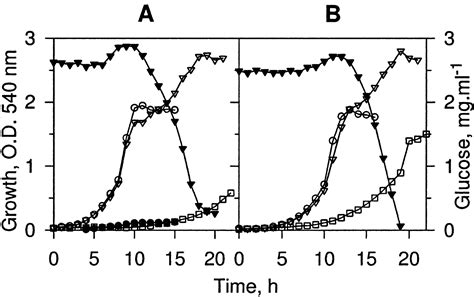 Preferential Utilization Of Aromatic Compounds Over Glucose By