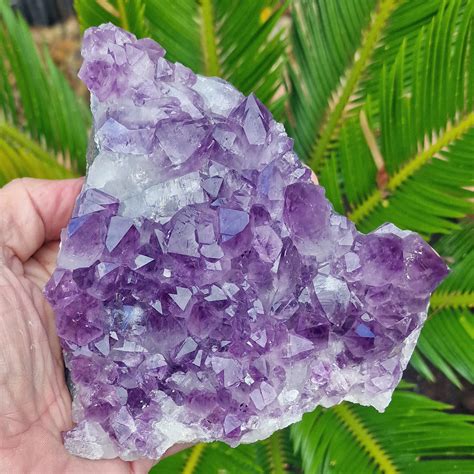 Amethyst Brazilian Cluster 4