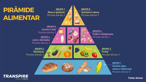 O Que Podemos Encontrar No Meio Da Pirâmide Alimentar