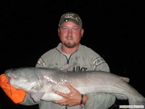 James River Catfishing Guide Guide Service For Blue Catfish On The