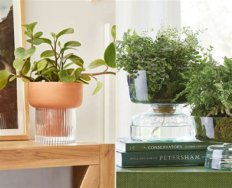 The 8 Most Beautiful Self Watering Planters We Could Find