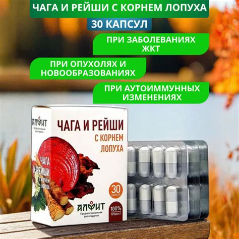 Чага и рейши с корнем лопуха, 30 капсул. Для сердца, печени, ЖКТ ...