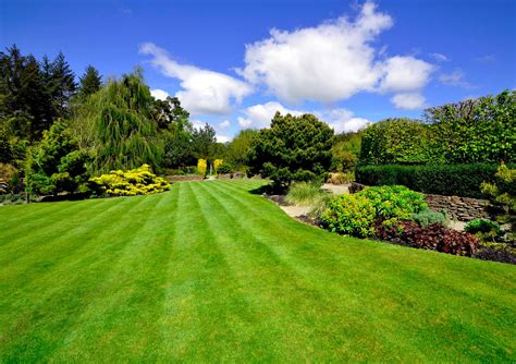 Great British Lawns Professional Lawn Care Services Surrey Hampshire