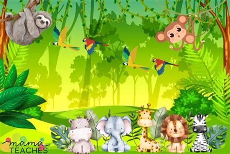 Jungle Facts for Kids - Mama Teaches