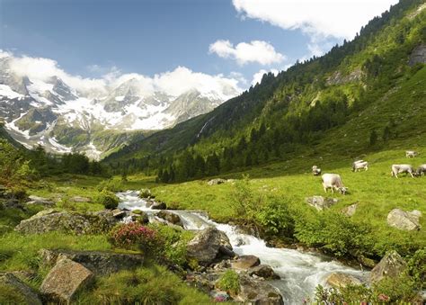 Invigorating Austrian Alps Summer Holiday Save Up To 60 On Luxury