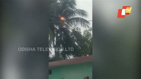 Coconut Tree Catches Fire In Lightning Strike In Cuttack Youtube