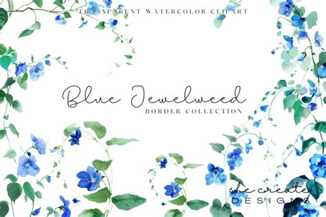 Blue Floral Border Clipart Collection Graphic by melina wester ...