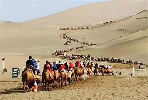 你见过堵骆驼吗？敦煌旅游胜地鸣沙山月牙泉，前两天骆驼那个直接堵了。知道的事懂得这是敦煌骑骆驼，不知道以为突厥入侵中原了。 雪球