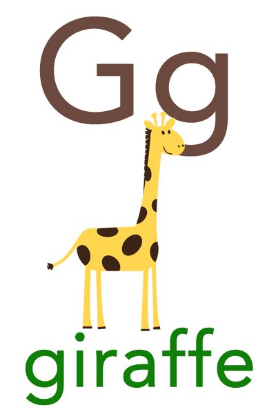 Baby Abc Flashcard G For Giraffe Letter Flashcards Color Flashcards