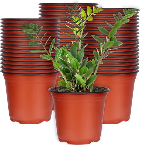 Amazon Lorpect Pcs Inch Plastic Plant Nursery Pots Reusable