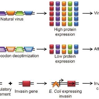 Application Of Artificial Gene Synthesis For Antigen Design And