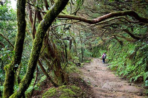 ANAGA MOUNTAINS Trekking Tour in Tenerife