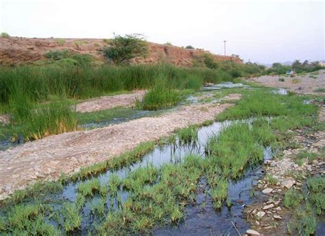 Turbat Balochistan Pakistan | Natural landmarks, Nature beauty, Travel