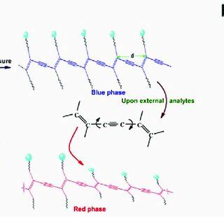 A Structure Of Pda In Different Phases And The Colorimetric