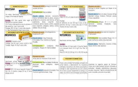 Solution Fichas Farmacol Gicas Studypool