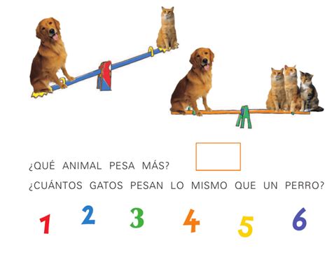 qué animal pesa más cuántos gatos pesan lo