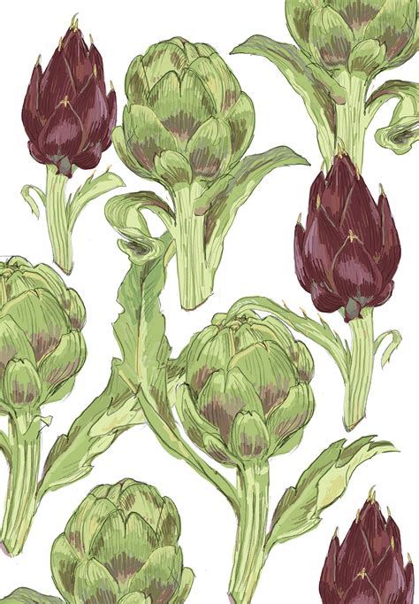 RFM-502 Artichokes – Retail.RigelPaper