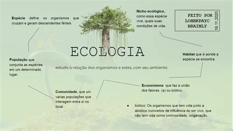 Conceitos Em Ecologia - conceitos básicos de ecologia a situações cotidianas como a construção ...