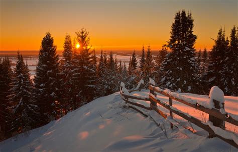 Wallpaper Nature, Winter, Landscape, Sun, Snow, Sunrise, Firs images ...