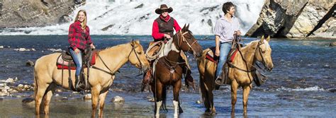 Banff Horseback Riding - Discover Banff Tours